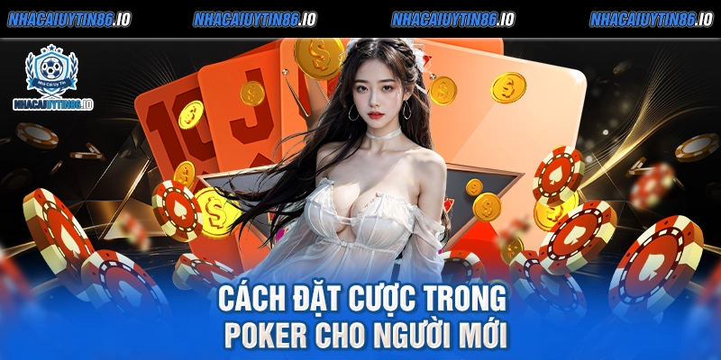 Cách đặt cược trong Poker cho người mới