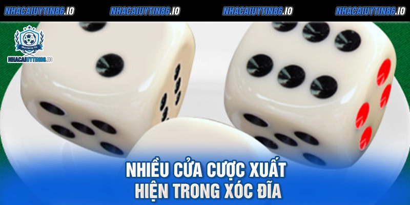 Nhiều cửa cược xuất hiện trong xóc đĩa