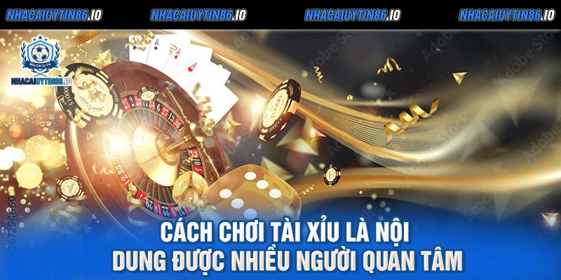 Cách chơi tài xỉu là nội dung được nhiều người quan tâm